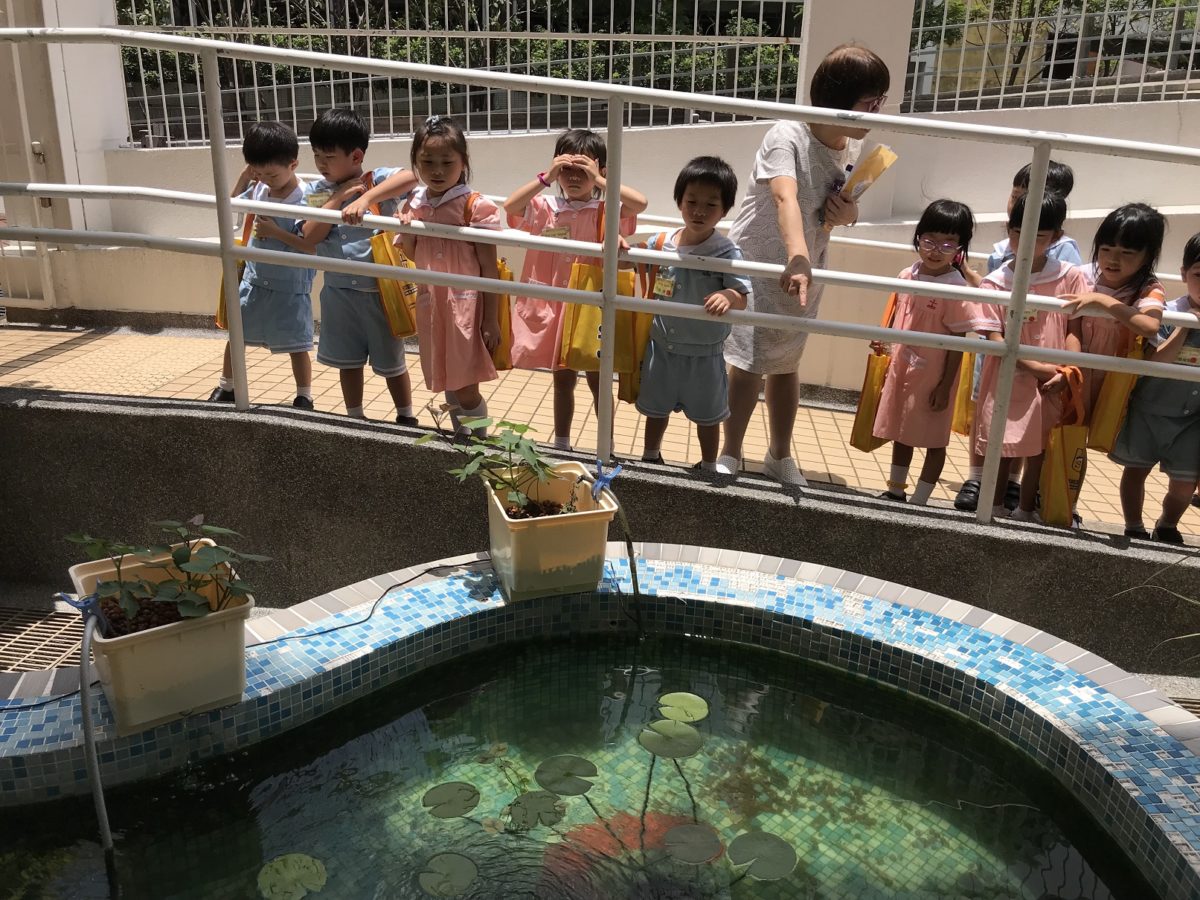 基督教聯合醫院幼兒學校參觀(2018年6月)